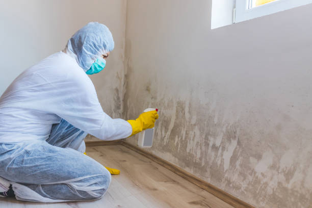 Licensed Crawl Space Mold Removal service in Seminole, FL - WQB Mold Removal