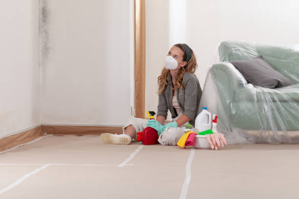 Reliable Crawl Space Mold Removal contractor in Seminole, FL by WQB Mold Removal